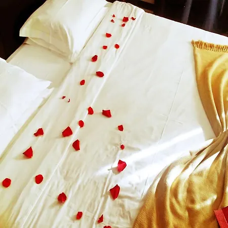 Noiva Do Mar 劳林哈